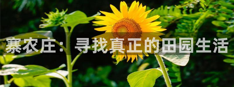 天辰娱乐连接