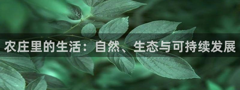 天辰娱乐咋样