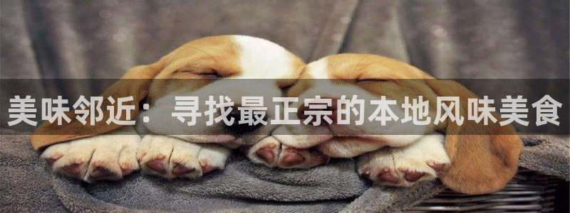 天辰娱乐招商