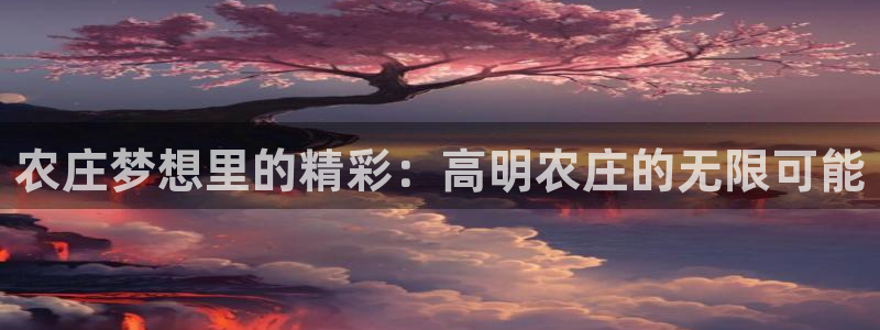 南充天辰娱乐