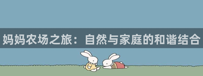 天辰娱乐内部