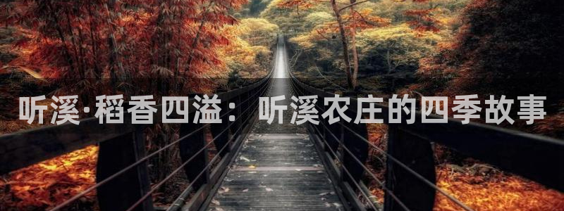 天辰娱乐平台app下载