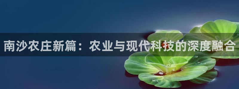 天辰娱乐总管