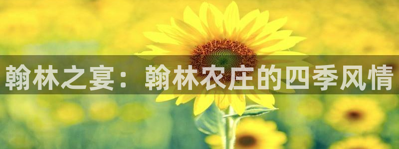 天辰娱乐所
