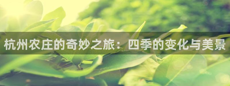 天辰娱乐怎么样