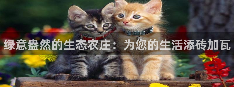 天辰娱乐电话