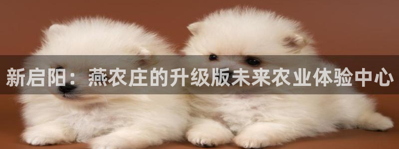 天辰水娱乐