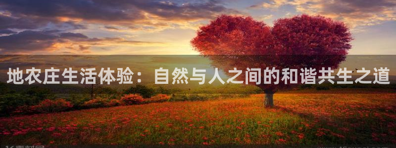 天辰娱乐下载