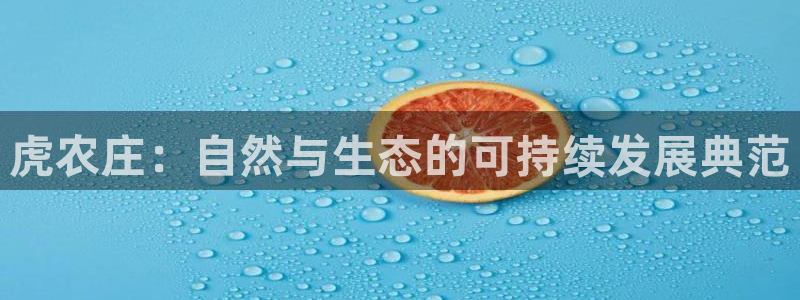天辰娱乐的网址首页