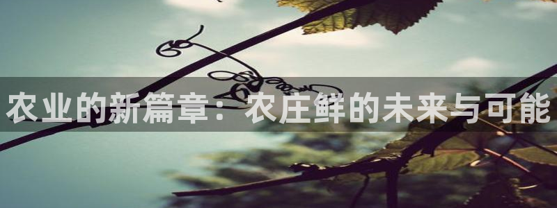天辰娱乐元宝