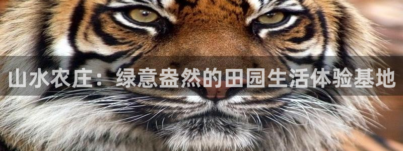 天辰娱乐平台靠谱么