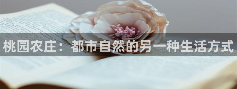 天辰娱乐61116