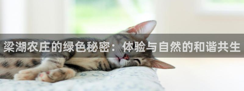 天辰娱乐待遇