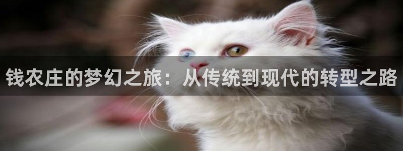 天辰娱乐平台注册