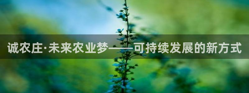 天辰娱乐论坛