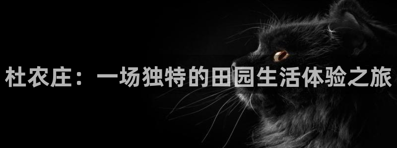 天辰娱乐1996