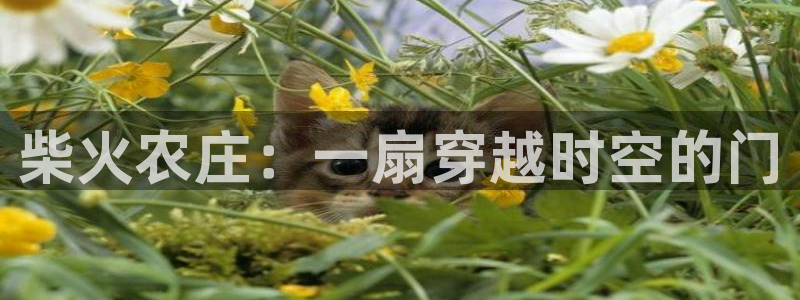 天辰娱乐官网平台入口