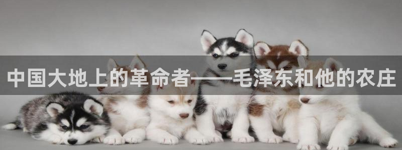 天辰娱乐传媒