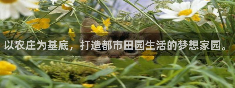 天辰娱乐ttf
