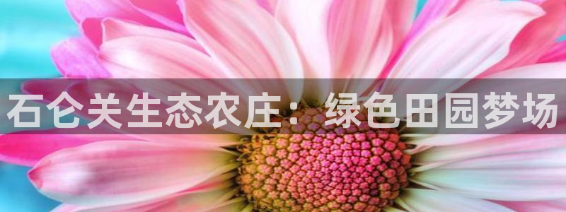 天辰娱乐新闻