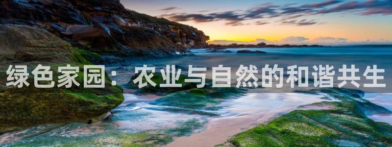 手机上怎么下载天辰娱乐