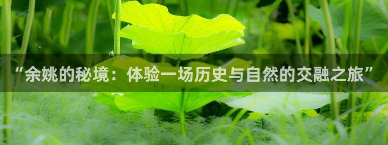 天辰娱乐网