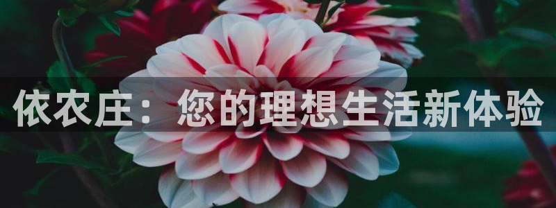 天辰娱乐557448