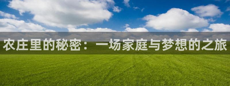 南京天辰娱乐