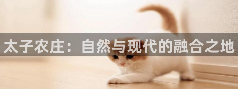 天辰娱乐主页