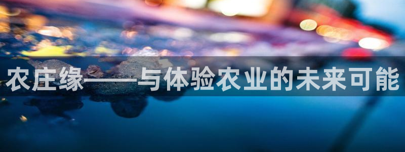 天辰娱乐小妹