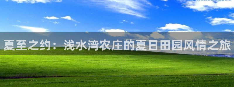 天辰娱乐小妹