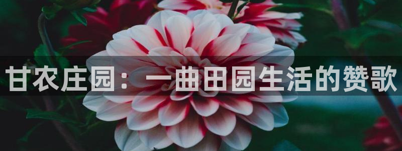 天辰娱乐游戏平台怎么样