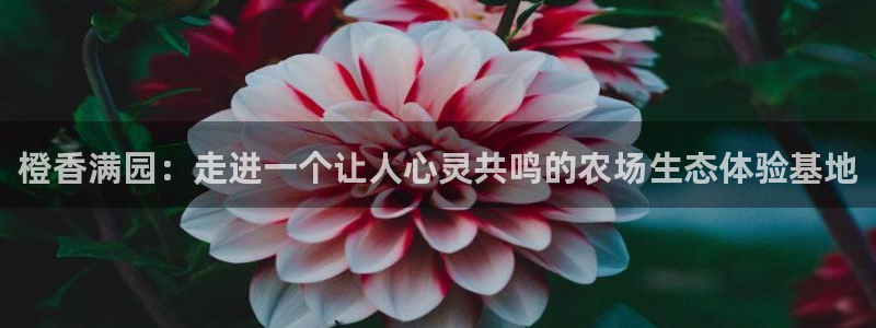 天辰娱乐44516