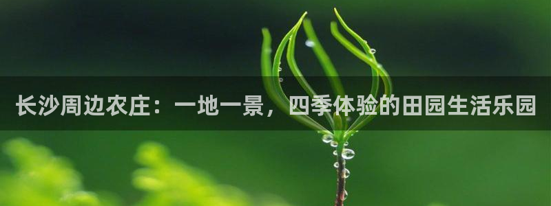 天辰娱乐彩票