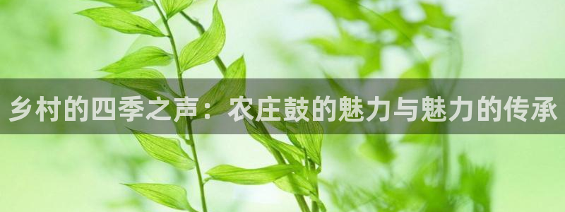 天辰辰娱乐代理