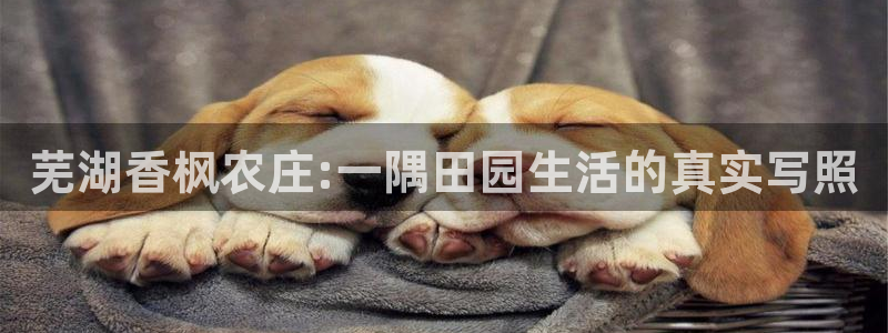 深圳天辰娱乐