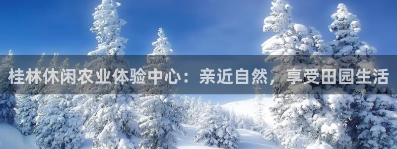 天辰娱乐元宝