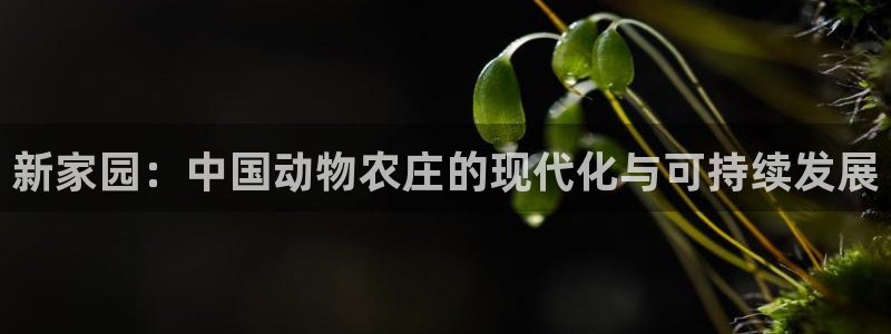 天辰娱乐平台地址在哪里