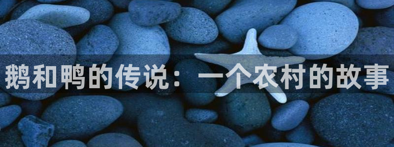 天辰娱乐885544