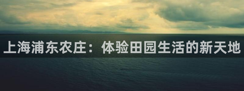 北京天辰娱乐