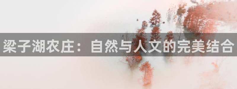 天辰娱乐登陆