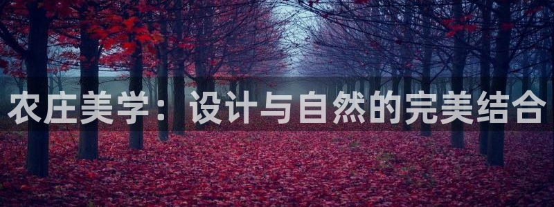 天辰娱乐平台登录账号