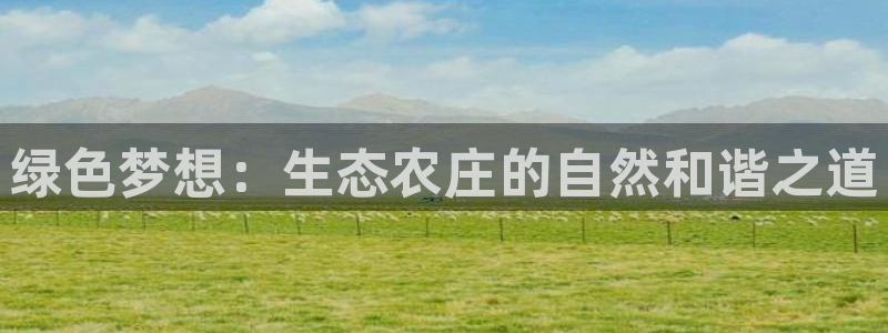 天辰娱乐跑的快