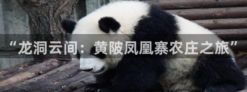 天辰娱乐在线登录注册