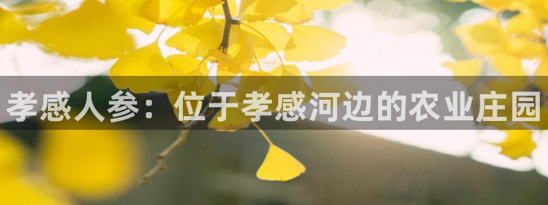 天辰娱乐平台安全吗