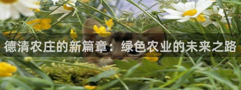 天辰娱乐天辰宝