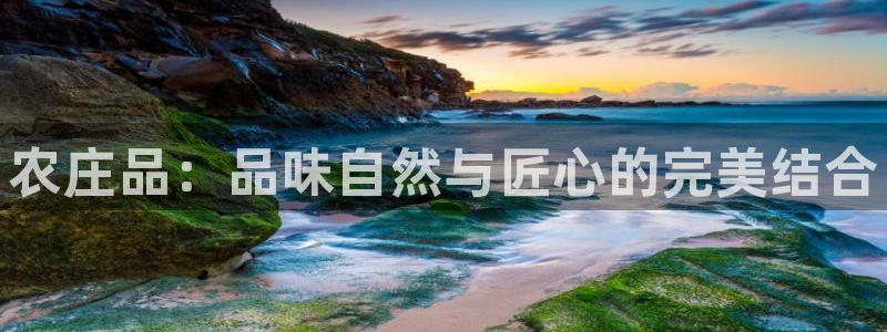 天辰 娱乐