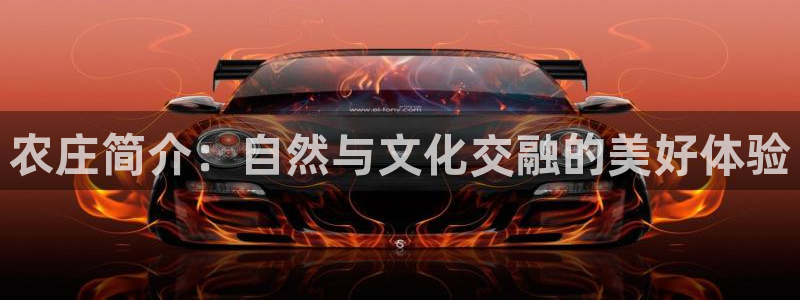 天辰娱乐线路