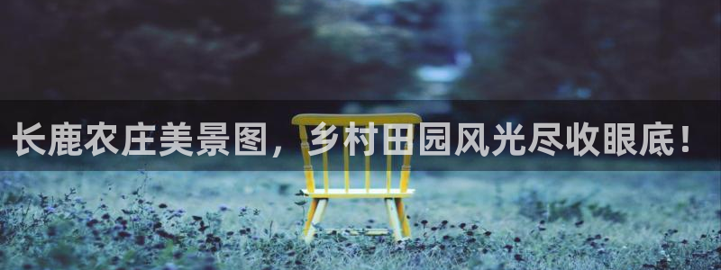 天辰娱乐1956