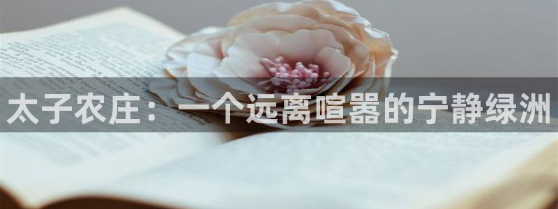 天辰娱乐登陆